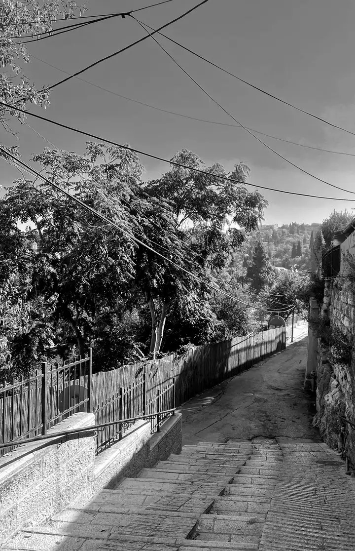סמטת מדרגות אבן בין בתים בירושלים